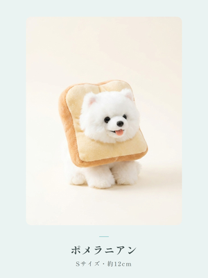 Sサイズ・既製品