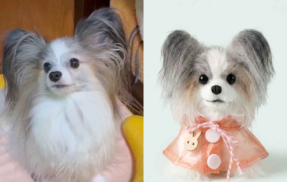 작품집